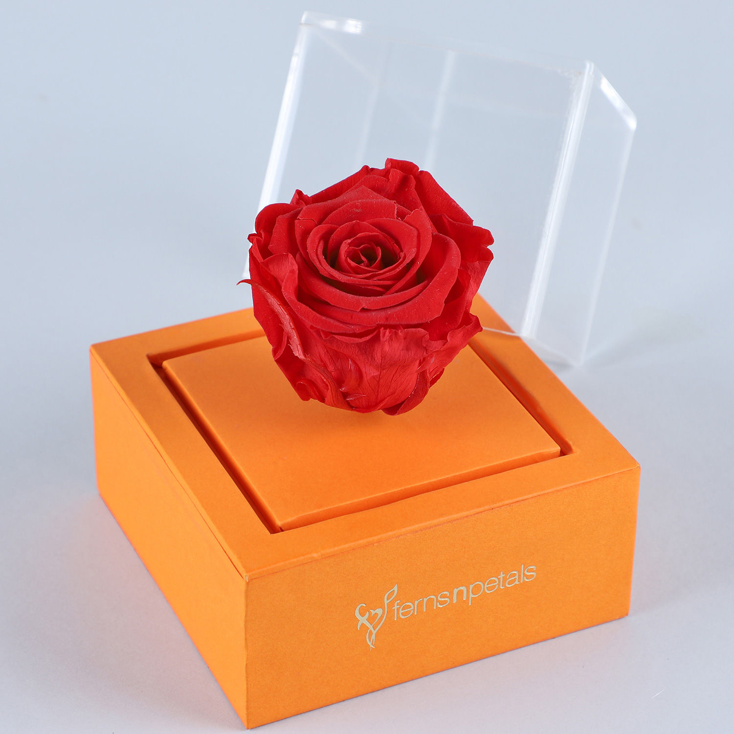 Online Red Forever Rose In Orange Box Gift Delivery in Singapore - Ferns N Petals