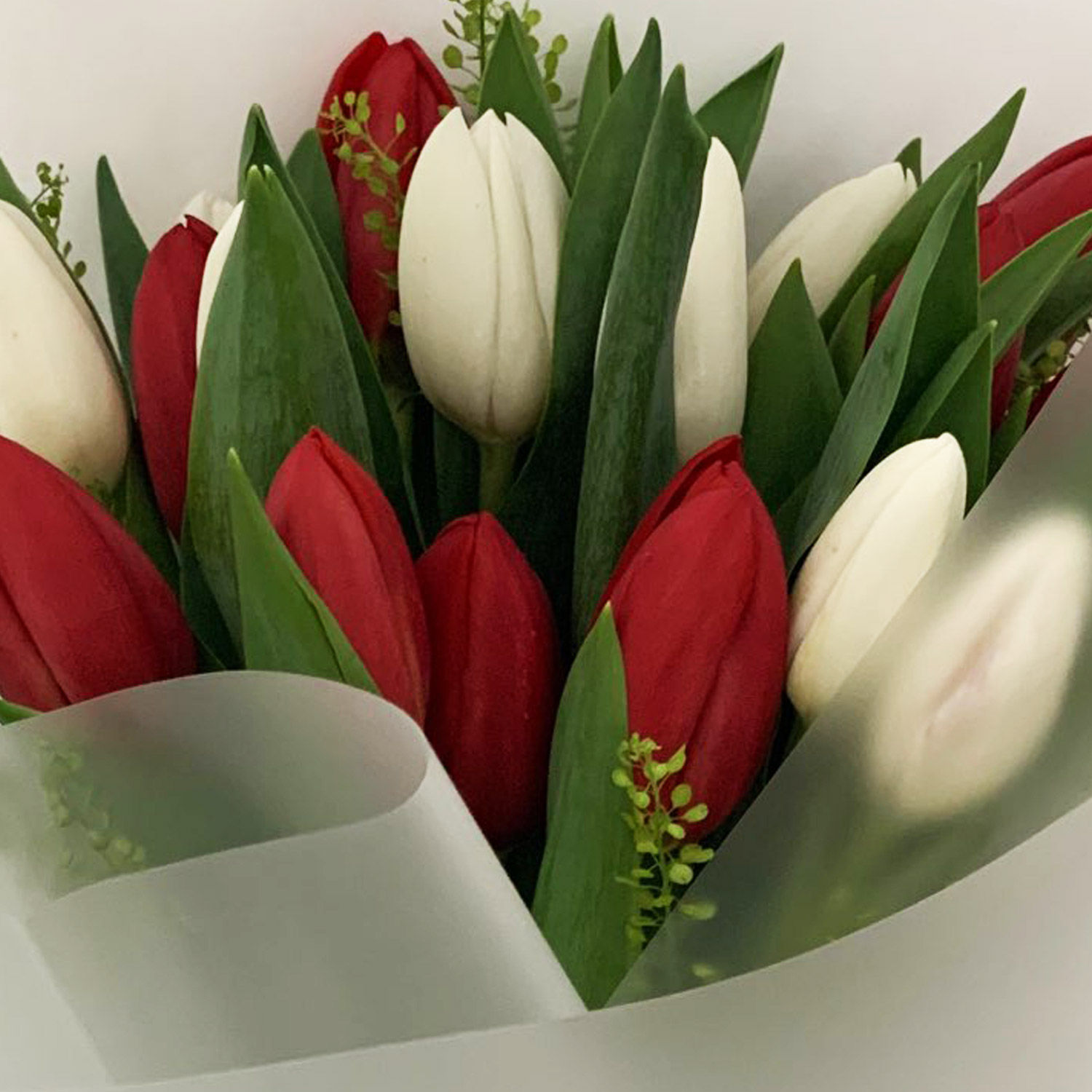 Online Graceful Red and White Tulips Posy Gift Delivery in Singapore FNP