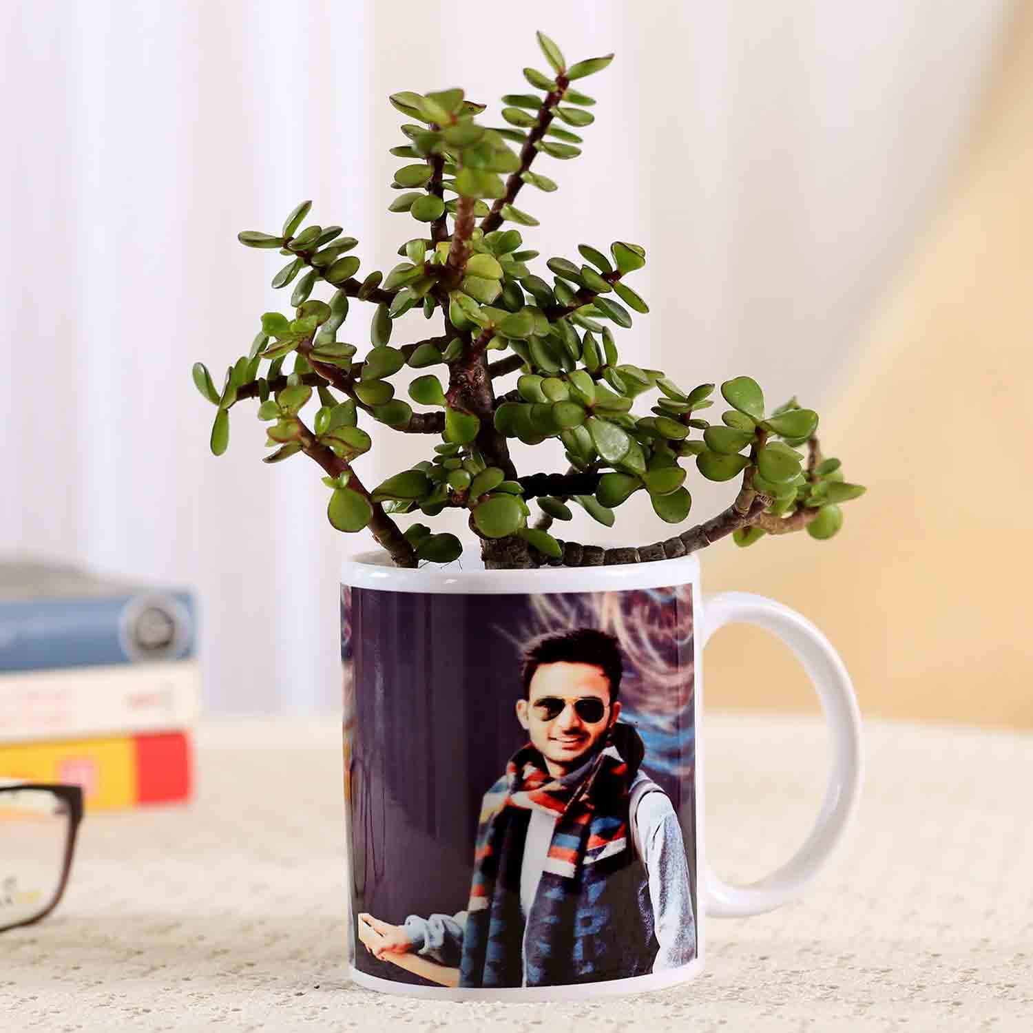 Online Picture White Mug Jade Plant Gift Delivery in