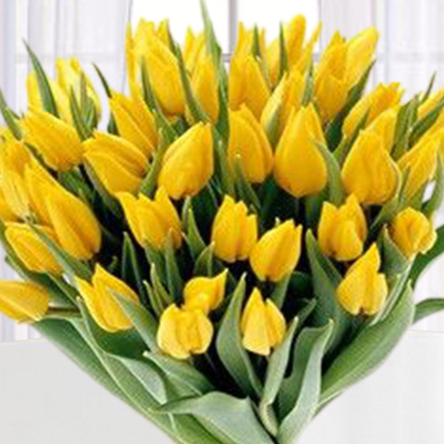 Online Yellow Tulips Bunch Gift Delivery in Singapore FNP