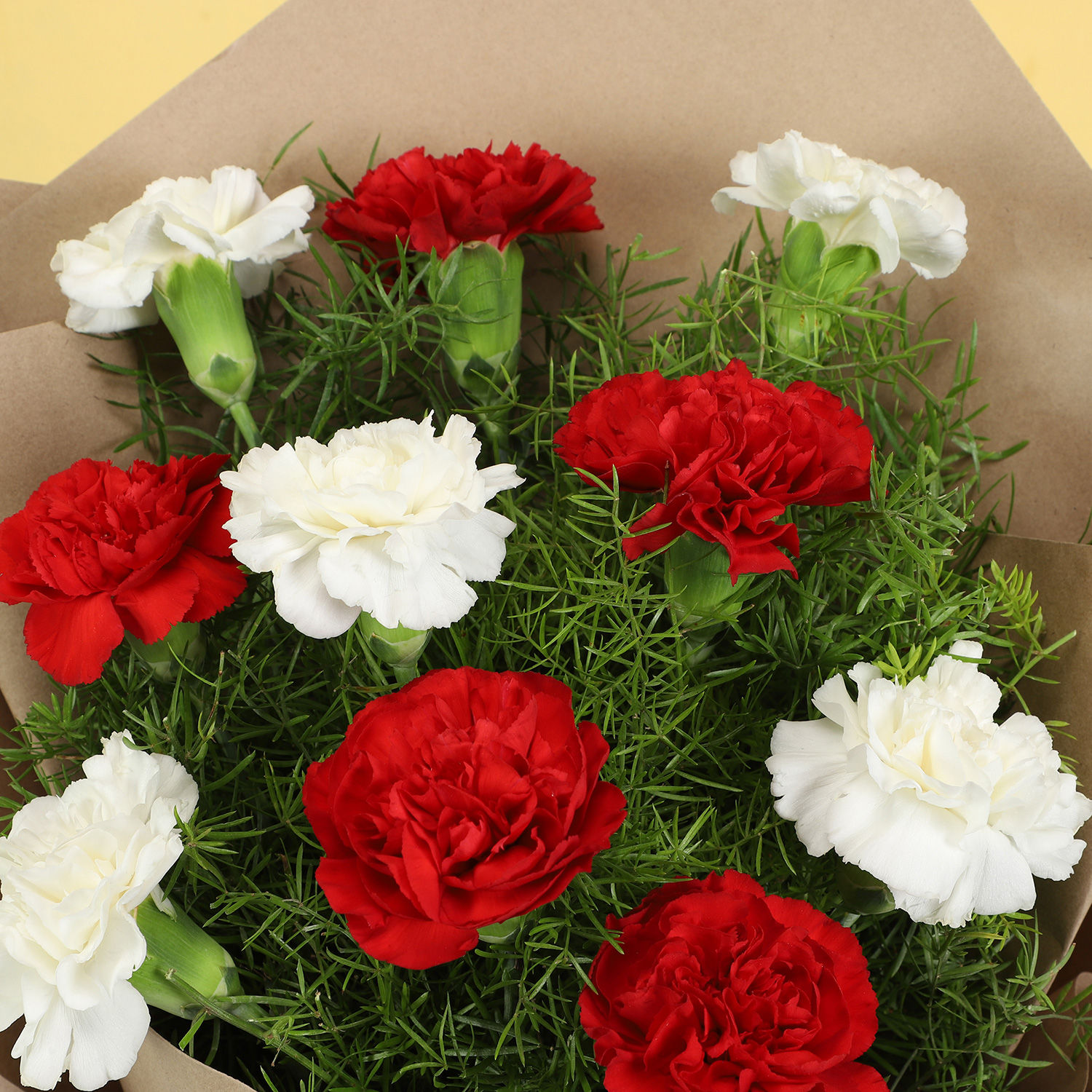 Online 10 Romantic Red White Carnations Gift Delivery in Singapore ...