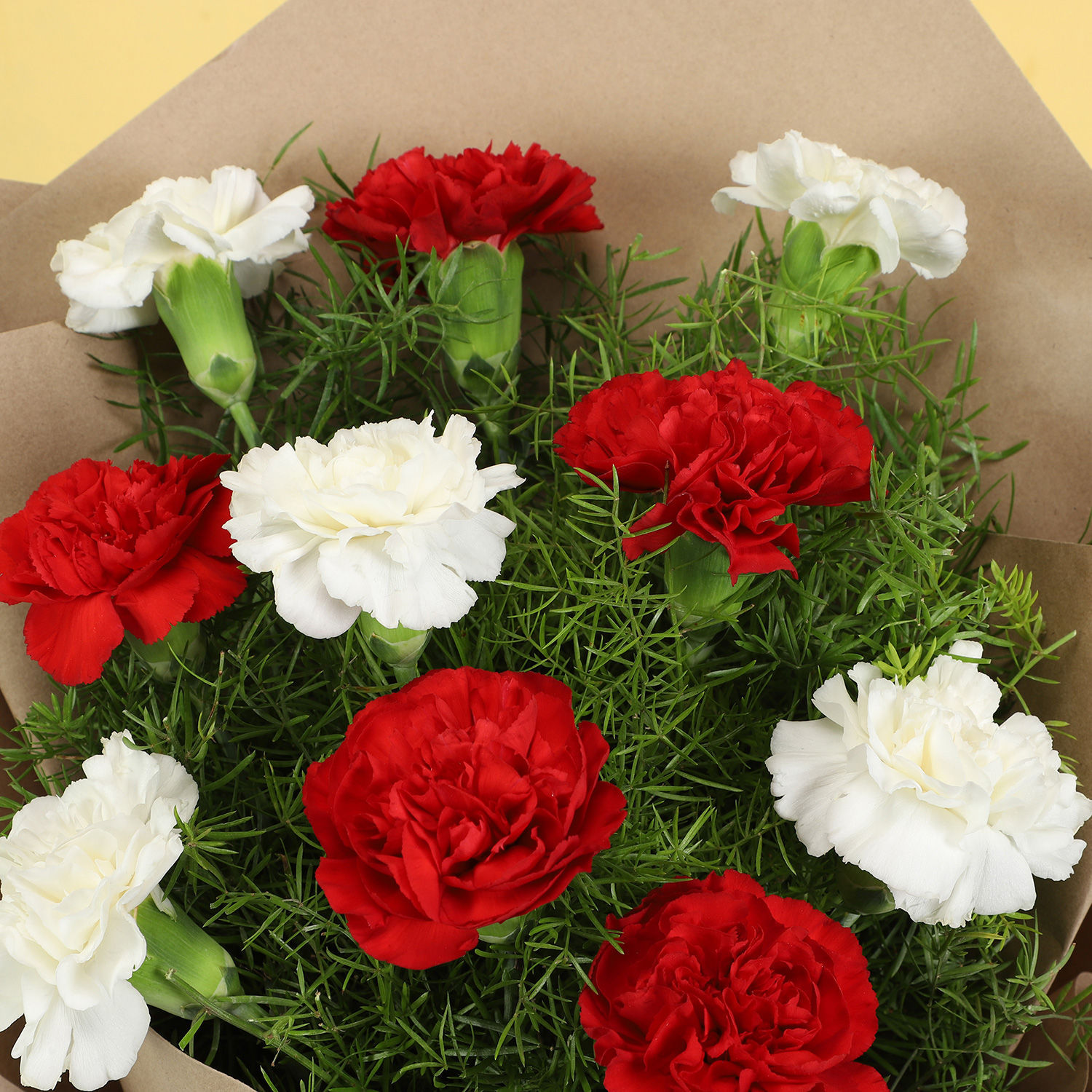 Online 10 Romantic Red White Carnations Gift Delivery in Singapore