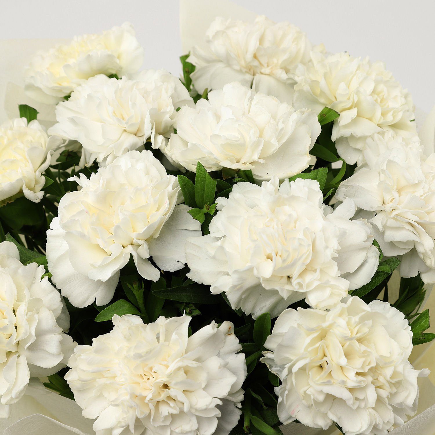 Online White Carnations Bouquet Medium Gift Delivery In Singapore Fnp