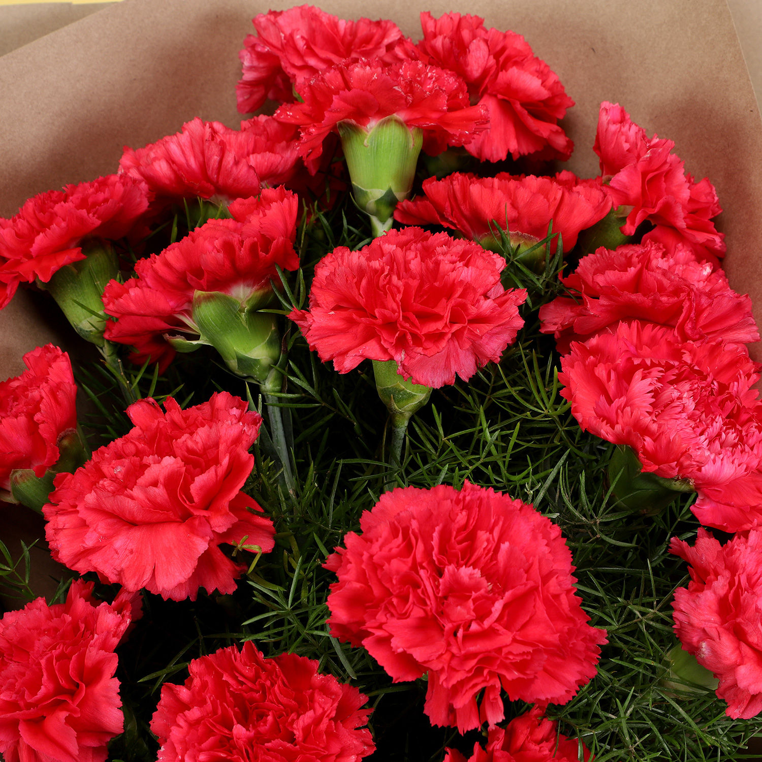 Online Gorgeous Dark Pink Carnations Bouquet Gift Delivery In Singapore Fnp