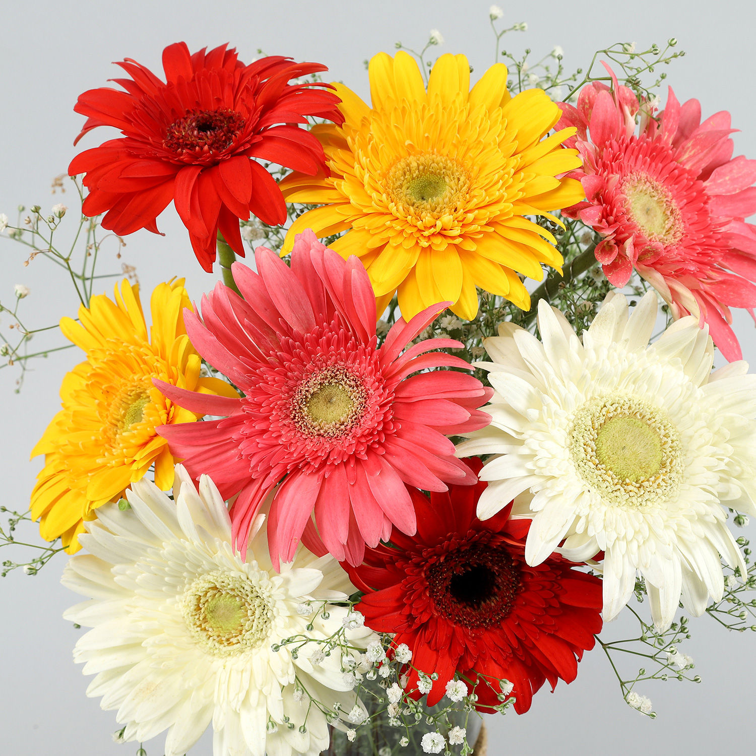 Online 8 Mixed Brilliance Gerbera Vase Gift Delivery in Singapore ...