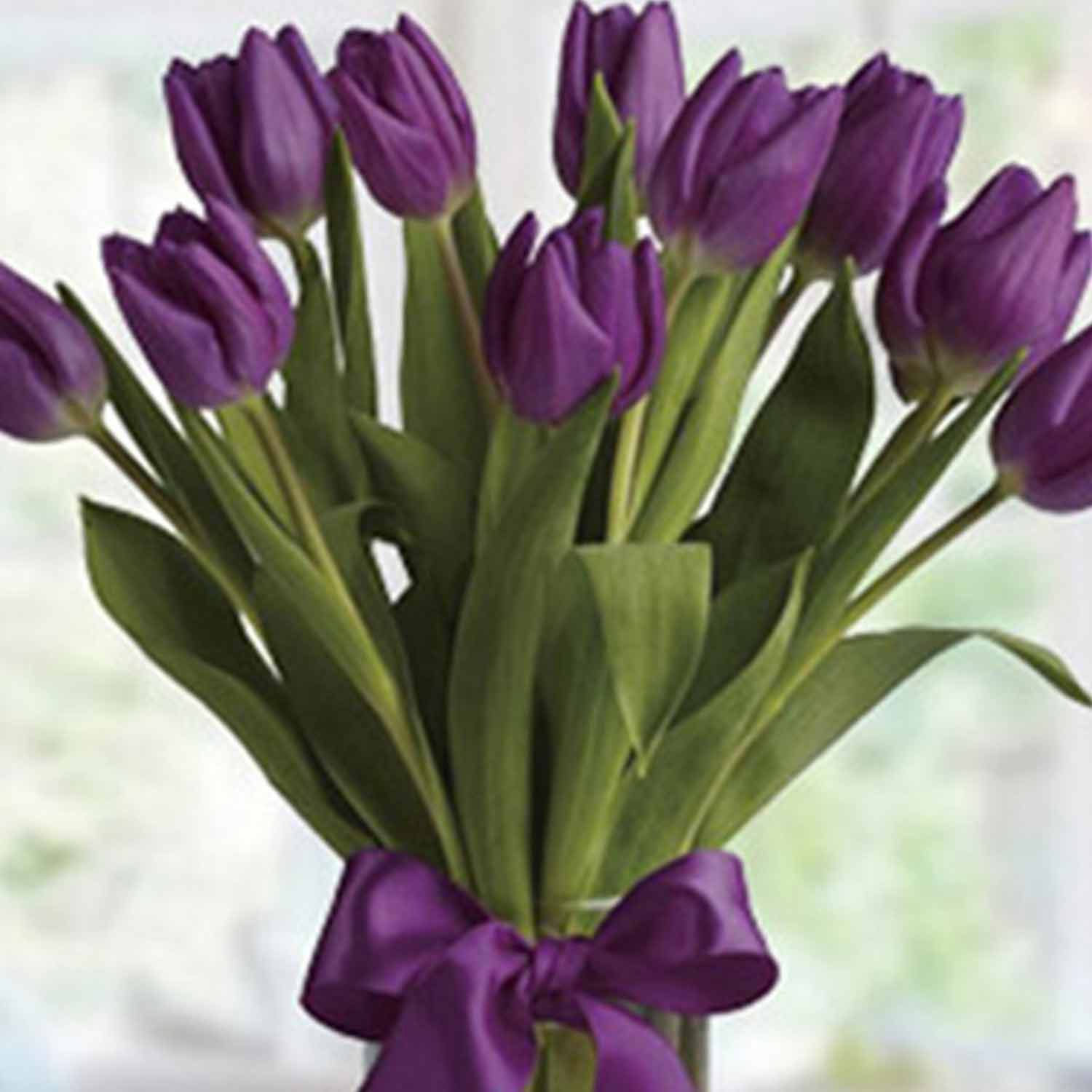 Online 10 Purple Tulip in glass Vase Gift Delivery in Singapore Ferns