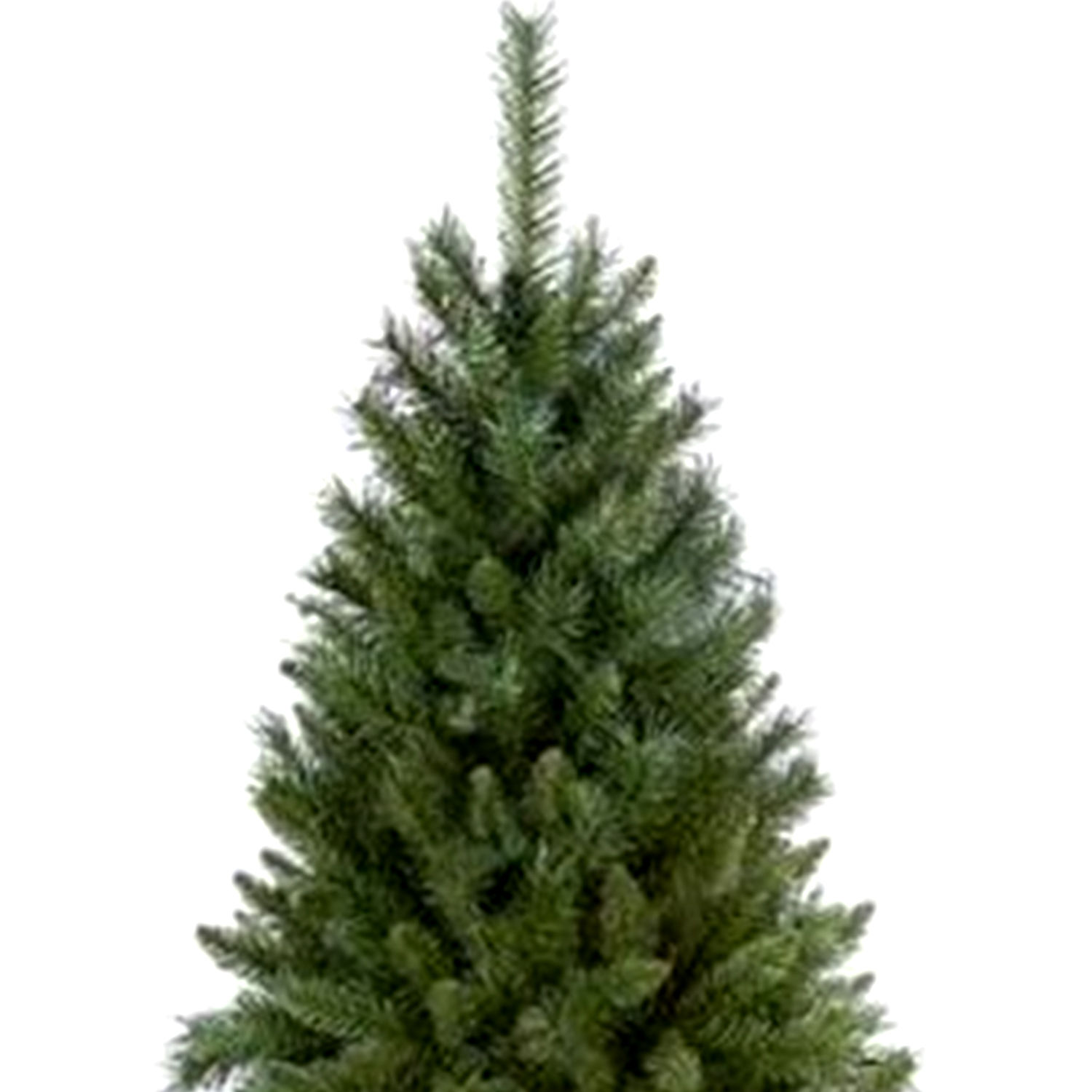 Online Real Pine Christmas Tree 50 Cms Gift Delivery in Singapore FNP