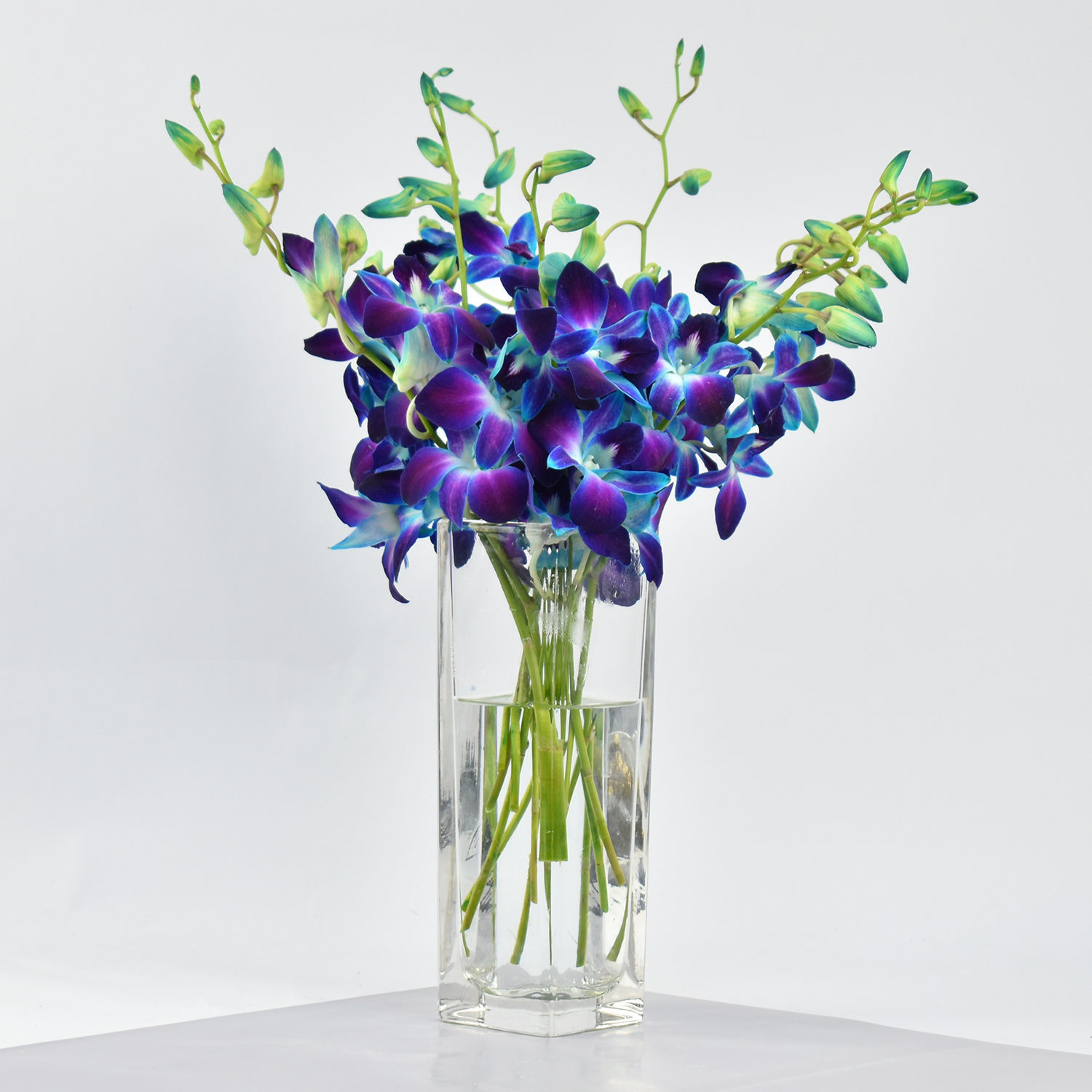 Online Mesmerizing Blue Orchids Gift Delivery in Singapore - FNP